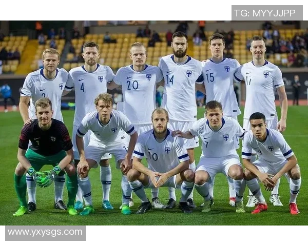 波黑足球明星盘点：那些在国际赛场上闪耀的传奇球员