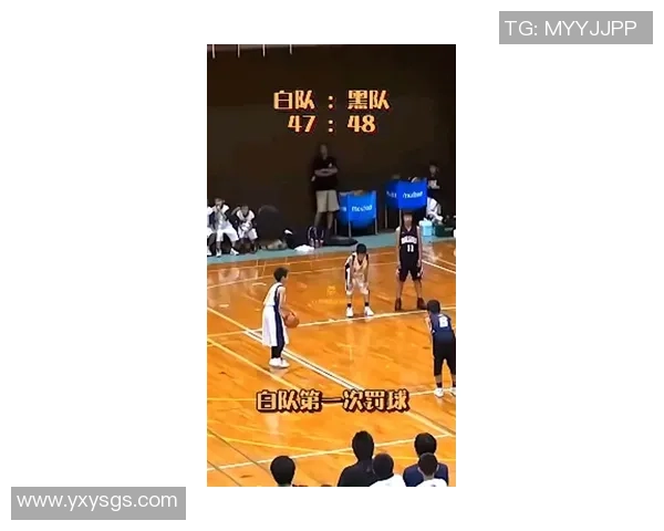 篮球魅力无限：深入解析杭州篮球队球员的个人技术与战术素养